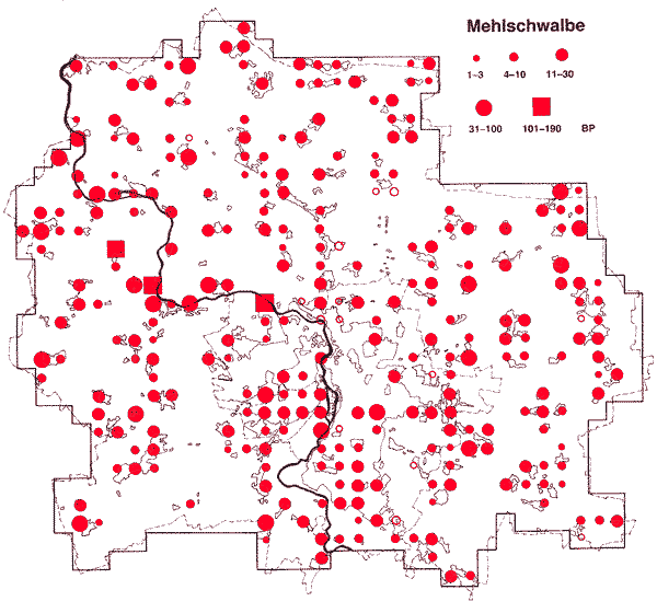 Verbreitung der Mehlschwalbe in Halle und Saalkreis 1983-1986
