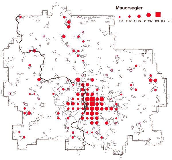 Verbreitung des Mauerseglers in Halle und Saalkreis 1983-1986