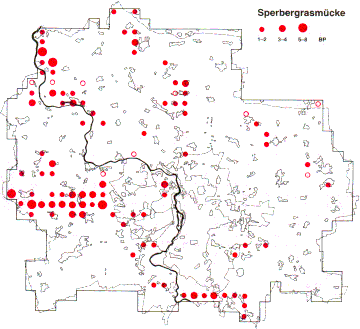 Verbreitung Sperbergrasm�cke, Ornithologen, Vogelbeobachtung, Halle, Vogelkunde,Vogelschutz
