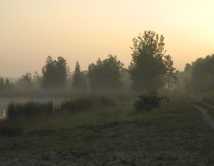 Morgend�mmerung im Naturschutzgebiet, 