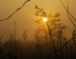 Sonnenaufgang im Naturschutzgebiet, 