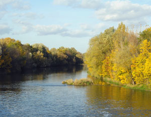Saaleaue halle, Pferderennbahn, Herbstf�rbung, Rabeninsel, Ornithologen, Vogelbeobachtung, Halle, Vogelkunde,Vogelschutz