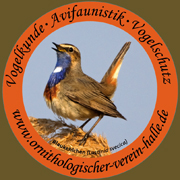 Aufkleber - Blaukehlchen