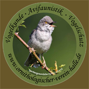 Aufkleber - Sperbergrasmücke